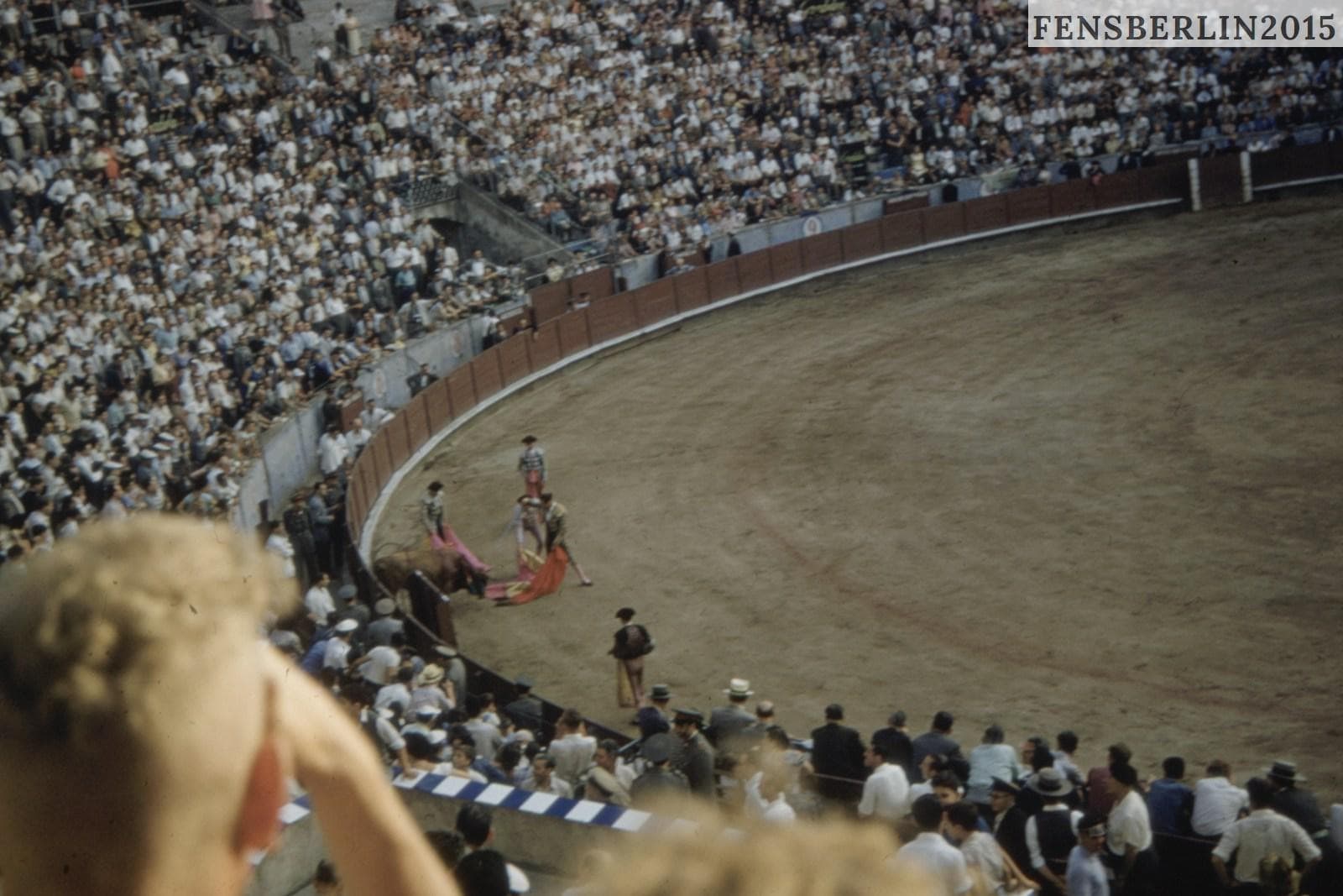 people watching bull fight