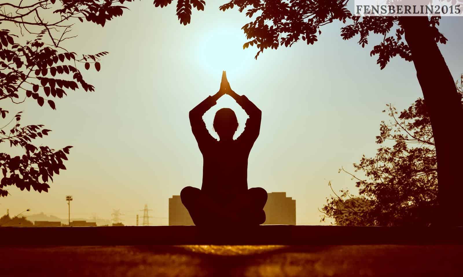 Yoga vs. Pilates: ¿Qué disciplina se adapta mejor a tus objetivos?